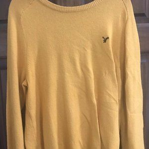 American Eagle Outfitter Men’s Classic Fit Sweater